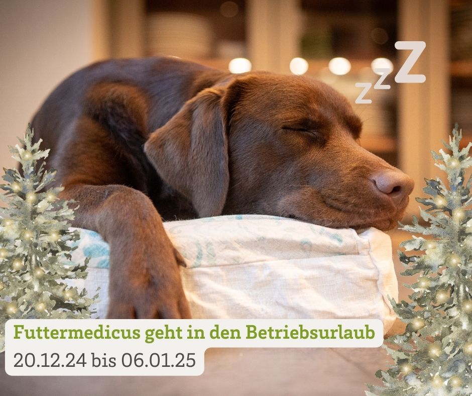 Betriebsurlaub 20.12.24 bis 06.01.25 | schlafender Hund